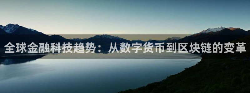 168全国统一开奖记录：全球金融科技趋势：从数字货币到区块链的变革